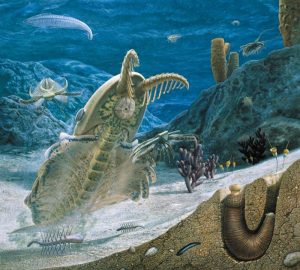 518-Million-Year-Old-Rocks Suggest Animal And Human Life May Have First ...