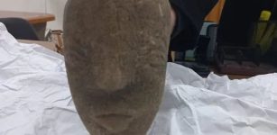 Rare 4,500-Year-Old Stone Sculpture Of Canaanite Goddess Anat Found By Farmer In Gaza Strip