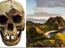 The Hobbit - An Ancient Hominin Species May Still Be Living In The Forests Of Flores Island - Anthropologist Says