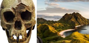 The Hobbit - An Ancient Hominin Species May Still Be Living In The Forests Of Flores Island - Anthropologist Says