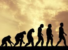 Disbelief In Human Evolution Is Linked To Prejudice And Racism - Scientists Say