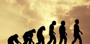 Disbelief In Human Evolution Is Linked To Prejudice And Racism - Scientists Say