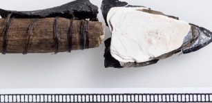 Unique Ancient Artifacts Discovered In Melting Ice Patches In Norway