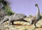 The First Australians Ate Giant Eggs Of Huge Flightless Birds That Went Excinct Over 47,000 Years Ago