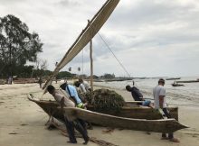 First Detailed Academic Study Of East African Maritime Traditions Shows Changes In Boatbuilding