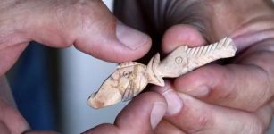 2500-year-old objects carved from goat bones have been discovered in ancient city of Aigai, Turkey.