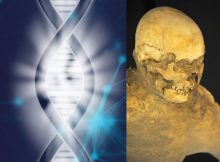 First Pompeiian Human Genome Sequenced Fron An Individual Who Died After The Eruption Of Mount Vesuvius In 79 C.E