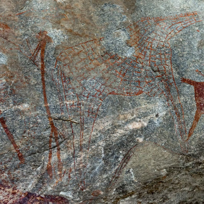 Ancient DNA Helps Reveal Social Changes In Africa 50,000 Years Ago That Shaped The Human Story