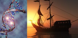 Ancient DNA Yields Surprising Findings On World's Earliest Seafarers