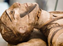 Unique Ancient Half-Mummy Unearthed In Luxor, Egypt Mystifies Archaeologists