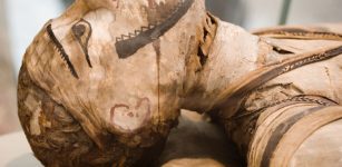 Unique Ancient Half-Mummy Unearthed In Luxor, Egypt Mystifies Archaeologists