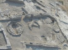 Olive Trees Were First Domesticated 7,000 Years Ago In The Jordan Valley