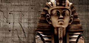 Unraveling Pharaohs' True Knowledge Of Hieroglyphs - Could All Pharaohs Read And Write?