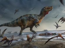 Europe's Largest Predatory Dinosaur Unearthed On The Isle Of Wight