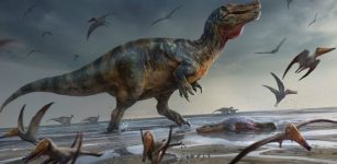 Europe's Largest Predatory Dinosaur Unearthed On The Isle Of Wight