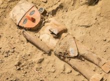 Chan Chan: Ancient Wooden Sculpture Unearthed In Peru’s Chan Chan