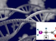 New Chemical Reactions To Generate Building Blocks Of Proteins And DNA - Discovered