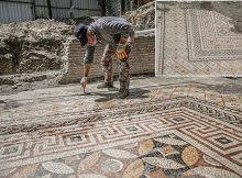 Yet Another Beautiful Roman Mosaic In Hatay, Turkey