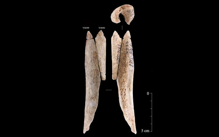 Stone Age People Used Human Bones For Making Pendants