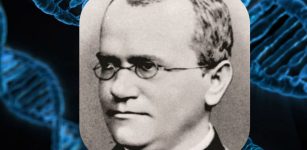 Evidence Mendel Discovered The Laws Of Inheritance Decades Ahead Of His Time