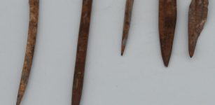 8,200-Year-Old Needles Unearthed In Turkey's Izmir