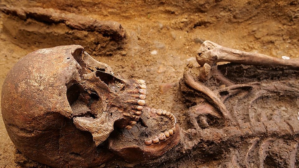 Almost Intact Skeleton Of A Sixth Century Warrior Unearthed At Germanic Langobard Burial Site