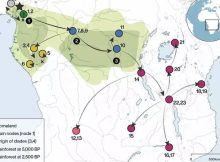 Early Bantu Speakers Crossed Through The Dense Central African Rainforest 4,000 Years Ago