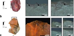 Life Of Earliest Modern Humans In Europe Revealed By Excavations Conducted In Romania