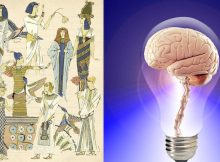 Scientists Investigate - Did The Human Brain Shrink 3,000 Years Ago?