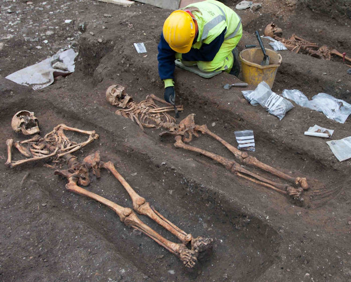 Medieval friars were 'riddled with parasites,' study finds
