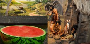 Neolithic Watermelons Reveal Some Surprises About Our Ancestors