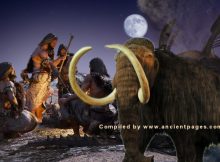 New Mexico Mammoths Offers Evidence Of Early Humans In North America Much Earlier Than Previously Thought