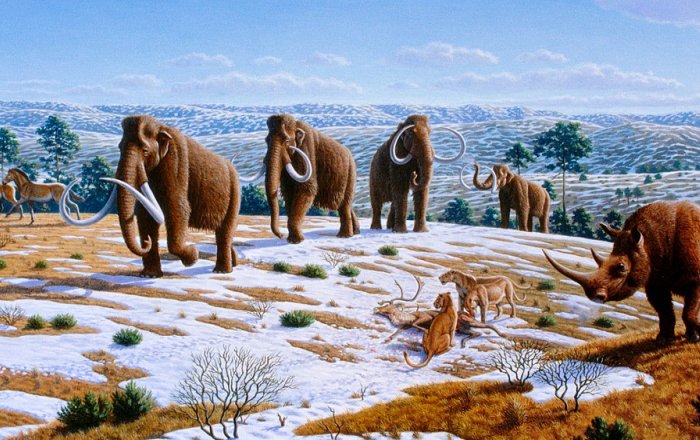 Recreation of a scene in late Pleistocene northern Spain. Image credit: by Mauricio Antón - CC BY 2.5
