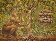 Among Ancient Maya Cacao Was Used In Celebrations And Common To All People