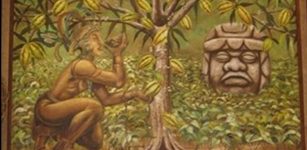 Among Ancient Maya Cacao Was Used In Celebrations And Common To All People