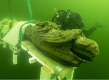 Science Unravels Some Secrets Of Mysterious Shipwreck Gribshunden