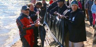 Incredible Find - 3,000-Year-Old Canoe Found In Wisconsin's Lake Mendota