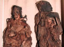 Scientific 'Detective Work' With South American Mummies Reveals They Were Brutally Murdered