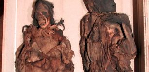 Scientific 'Detective Work' With South American Mummies Reveals They Were Brutally Murdered