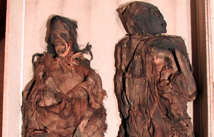 Scientific 'Detective Work' With South American Mummies Reveals They Were Brutally Murdered