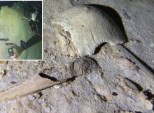 8,000 Year-Old Human Skeleton Discovered By Cave Divers Near Tulum, Mexico