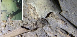 8,000 Year-Old Human Skeleton Discovered By Cave Divers Near Tulum, Mexico