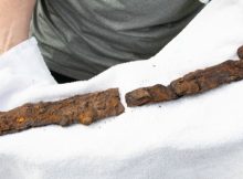 Man Finds An Viking Sword In His Garden - A Viking Grave Could Also Be Near The Area - Scientists Say