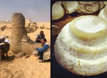 2,600-Year-Old Blocks Of White Cheese Discovered At Giza's Saqqara Necropolis, Egypt