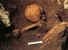 Curious 6,000-Year-Old Skull May Confirm Mythical Ancient Tribe Of Small People Did Exist!