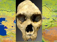 Central Asia Identified As A Key Region For Human Ancestors
