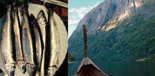 Ancient DNA Pushes Herring Trade Back To The Viking Age