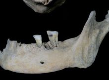 2,000-Year-Old Teeth Reveal The Diet Of An Iron Age Woman