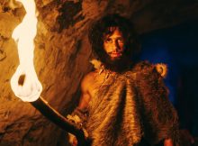 Neanderthals May Have Been Carnivores - New Study