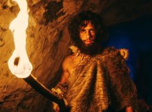 Neanderthals May Have Been Carnivores - New Study